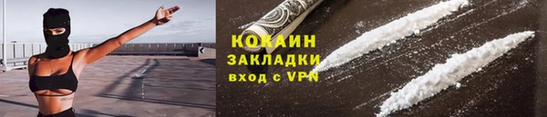 индика Алзамай