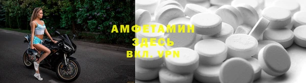 индика Алзамай