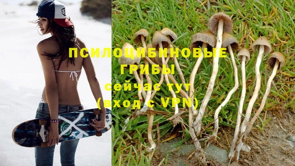 индика Алзамай