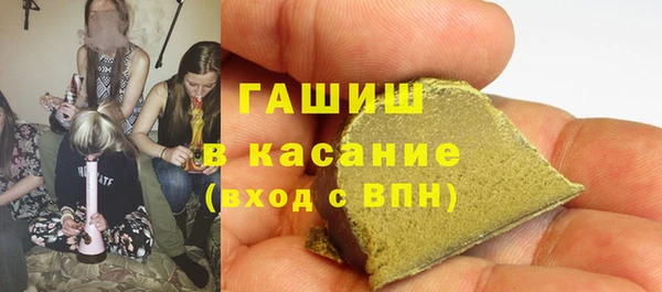 индика Алзамай