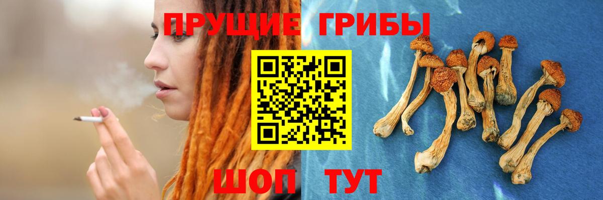 Галлюциногенные грибы GOLDEN TEACHER  Вход с VPN  Элиста 