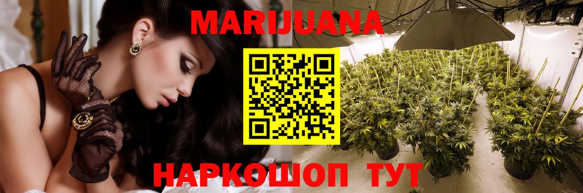 Каннабис White Widow Элиста